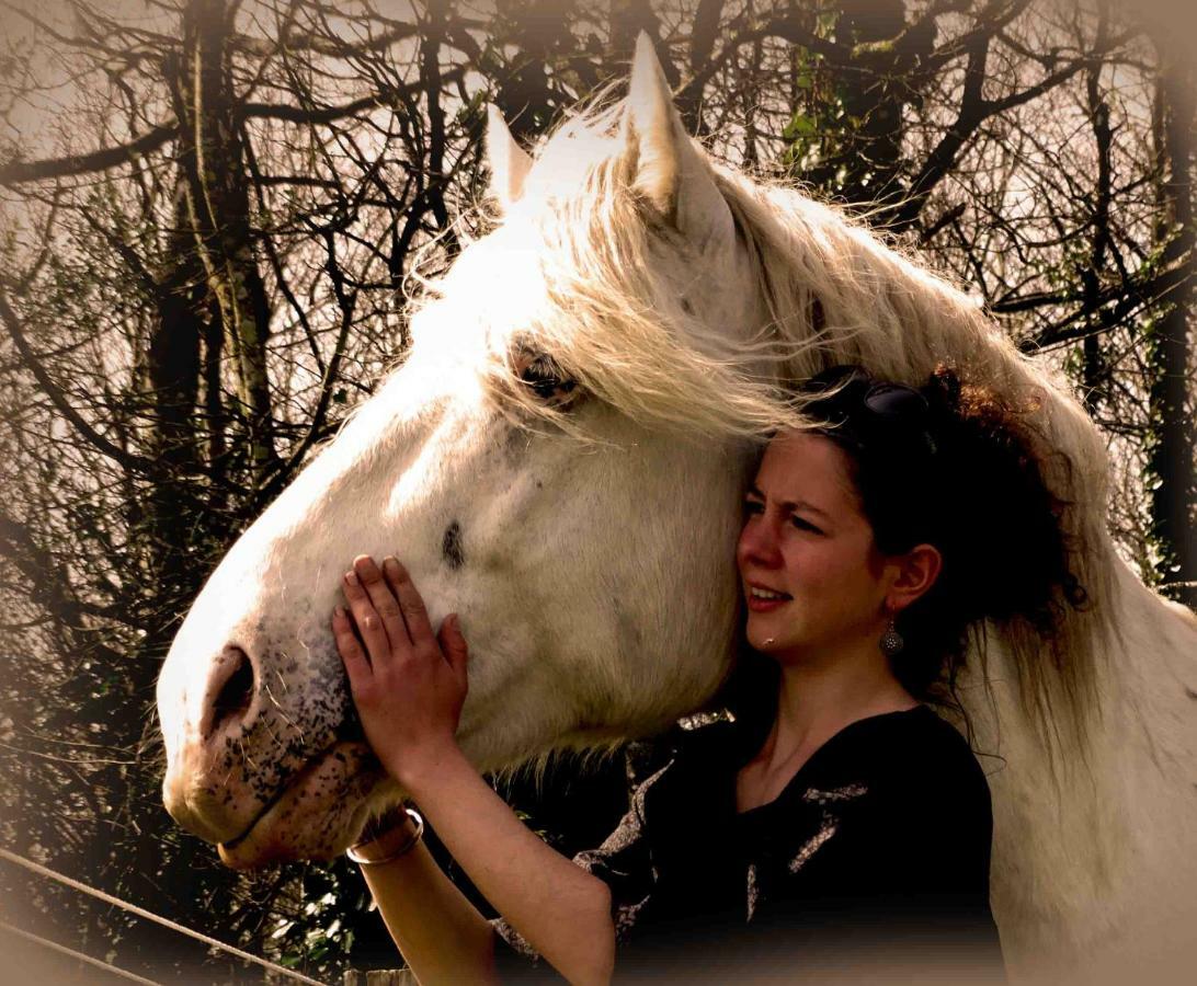 Une Roulotte Et Des Chevaux Trefflean Bagian luar foto